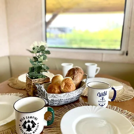 Holenderski Kamp alanı