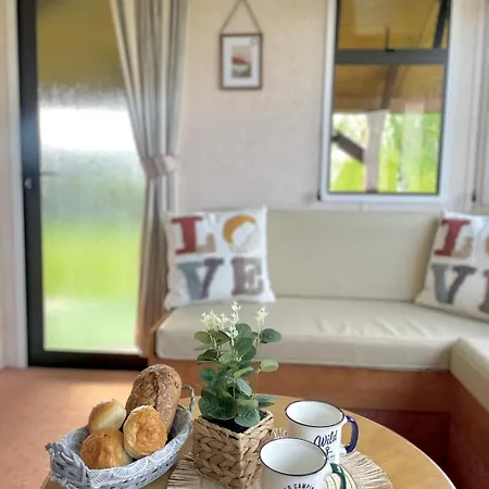 Holenderski Kamp alanı